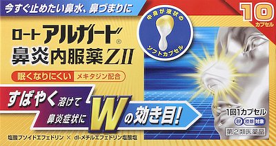 ロートアルガード鼻炎内服薬Ｚ　１０ｃｐ